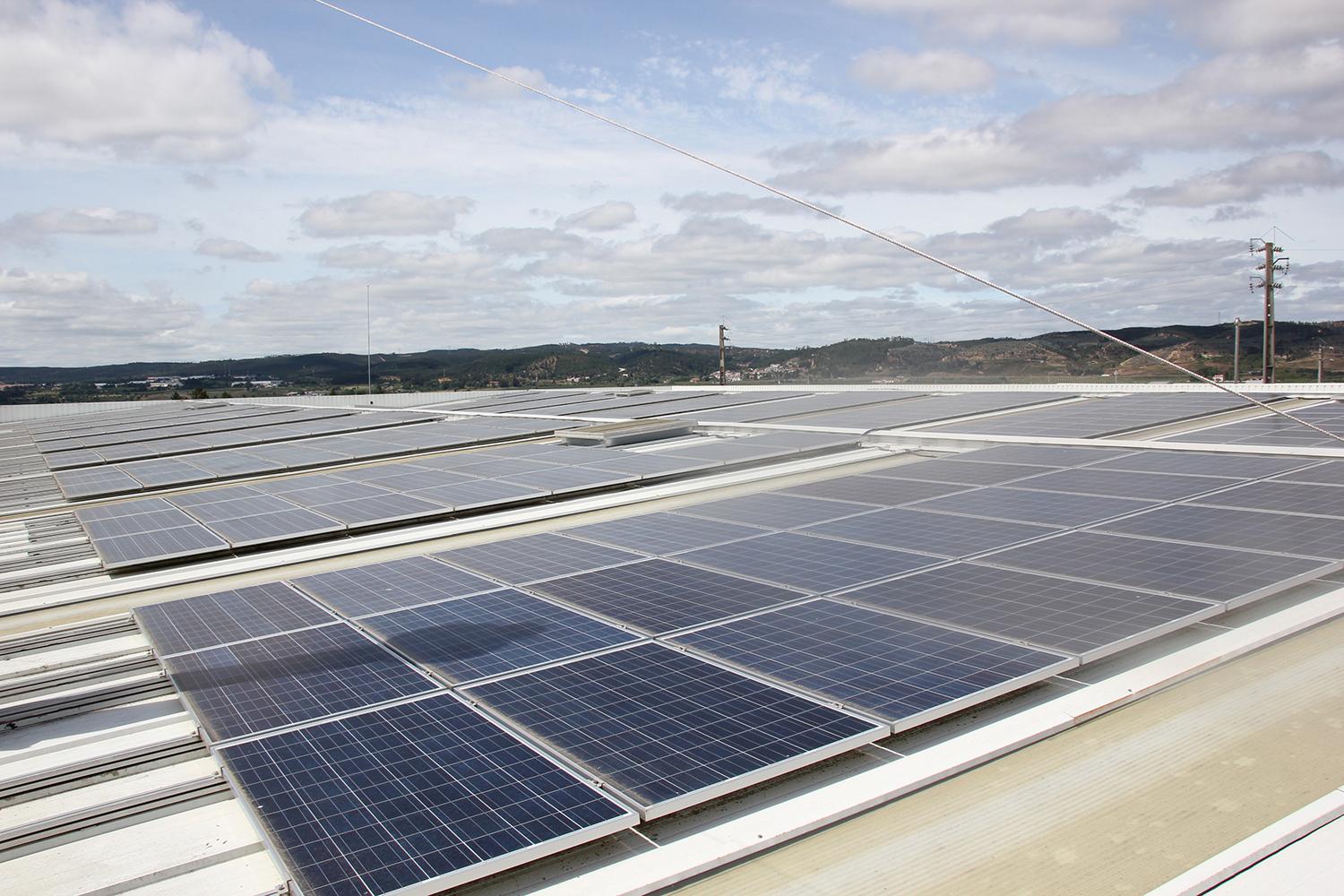 太陽光発電による再生可能エネルギーのイメージ