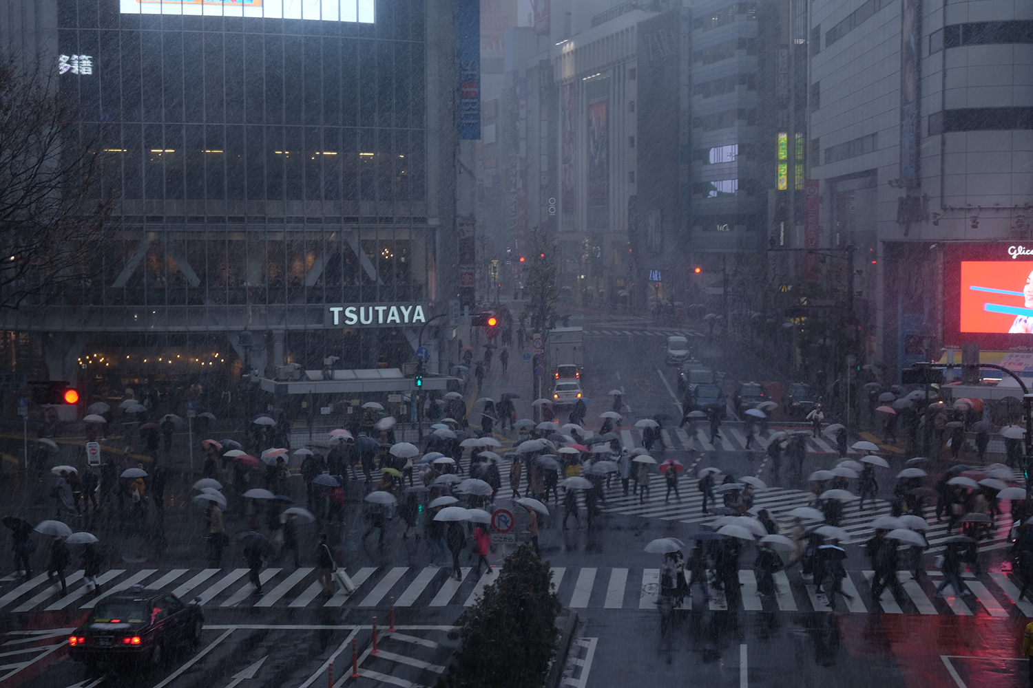 渋谷のスクランブル交差点 〜 画像6